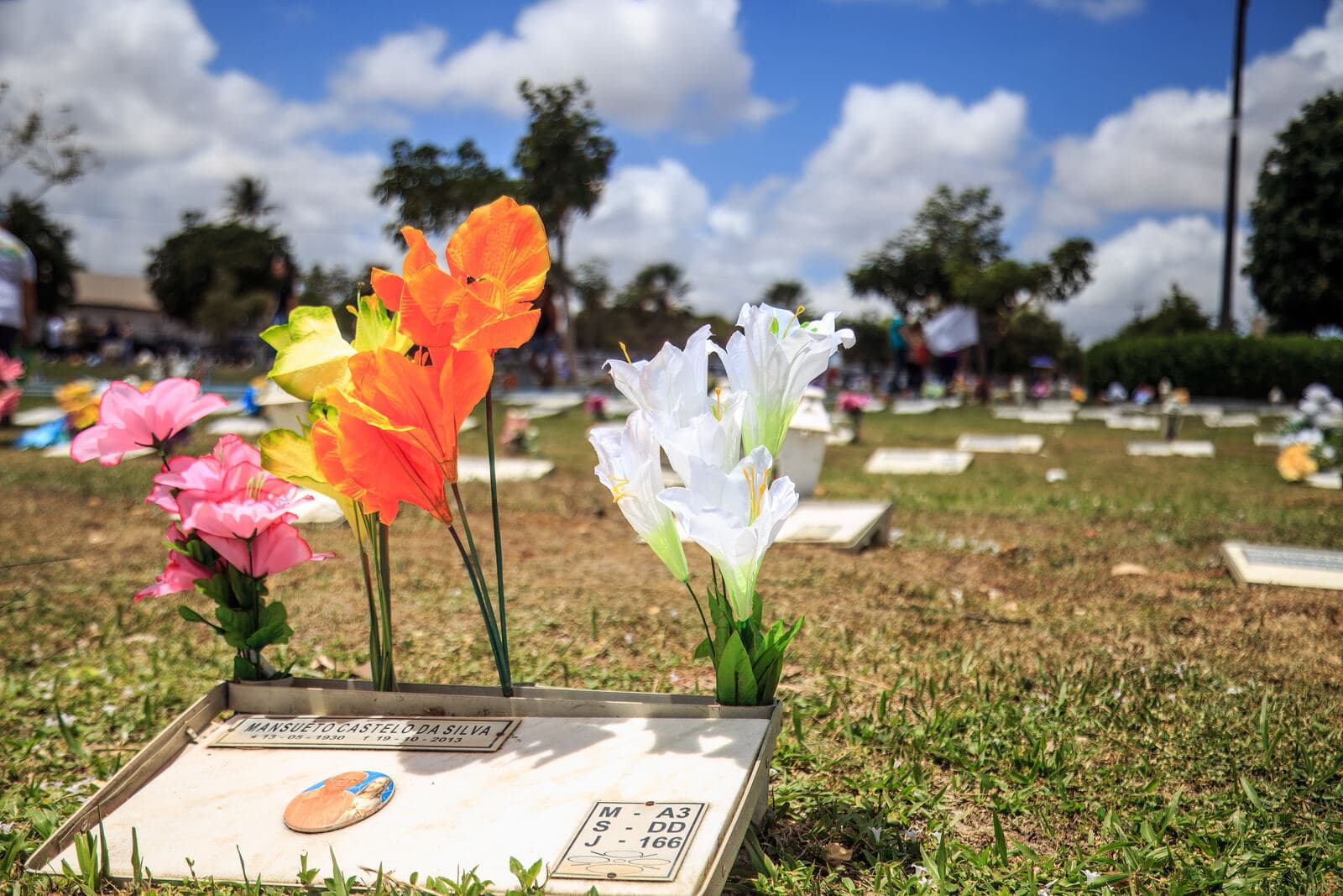 Flores deixadas em homenagem sobre um túmulo no Finados
