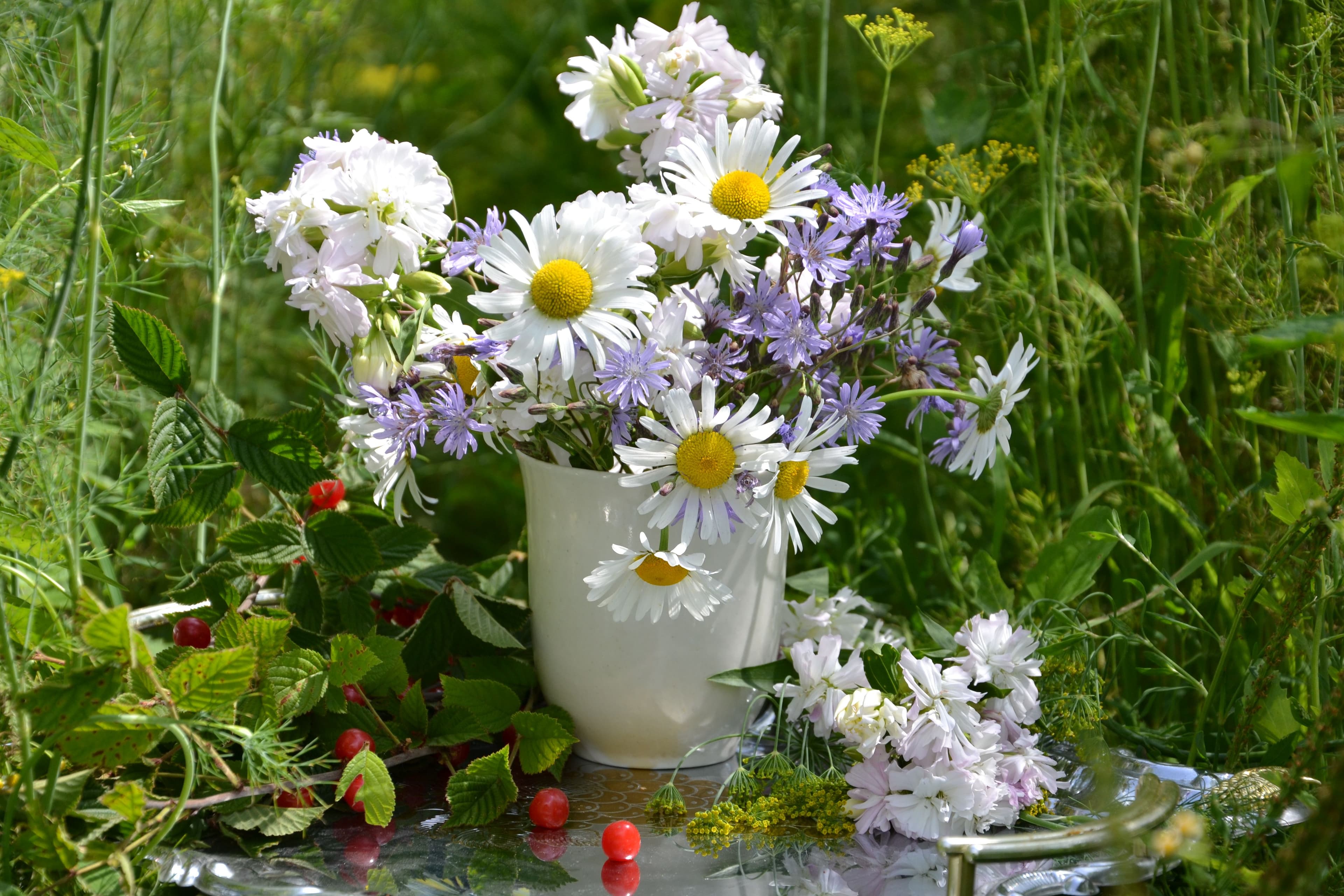 Ornamentação com Flores do Campo, Parque da Saudade